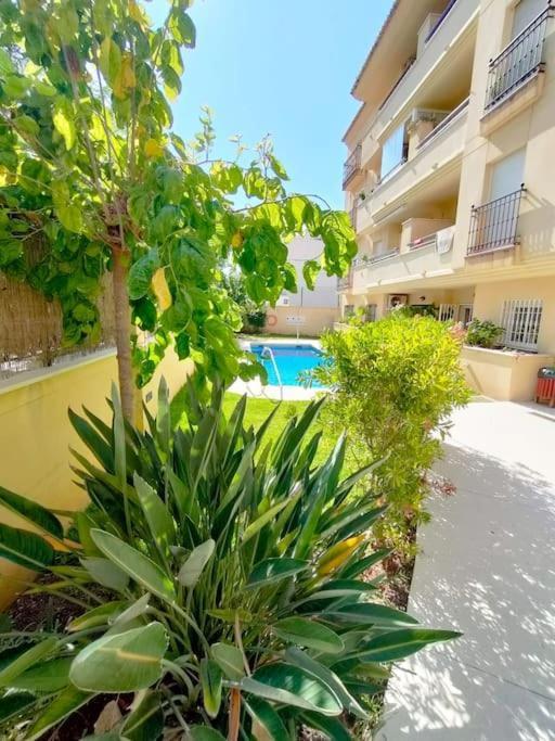 Appartement Jimena *